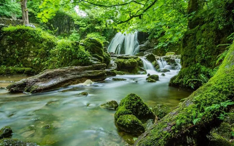 电子高性能智能